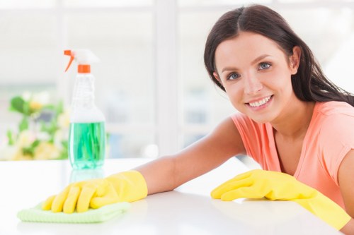 Professional sofa cleaning in a Hampstead living room