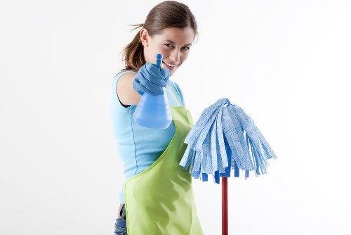 Professional steam carpet cleaning in a Hampstead home living room
