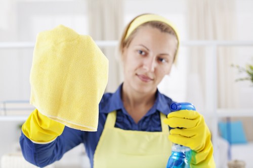 Professional Hampstead carpet cleaning in a living room