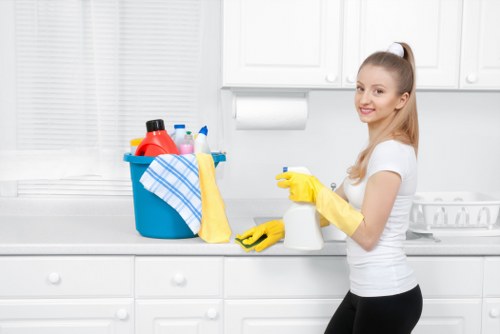 Mattress cleaning equipment used for hygiene and freshness