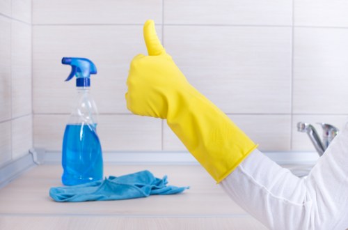 Professional carpet cleaning appointment confirmation details