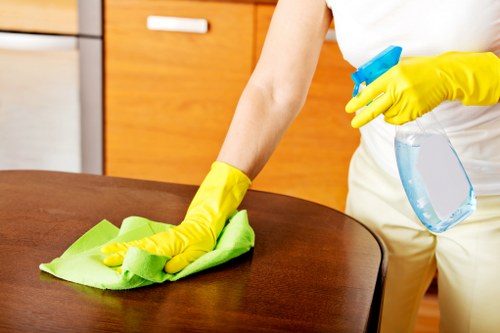 Professional cleaning team using safe methods and protective gear